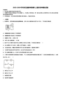 2023-2024学年河北省联考物理九上期末统考模拟试题