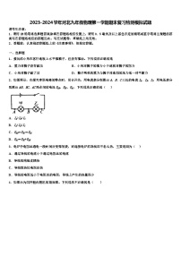 2023-2024学年河北九年级物理第一学期期末复习检测模拟试题