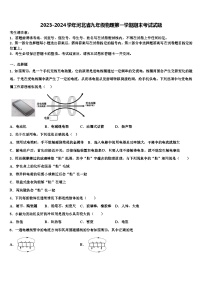 2023-2024学年河北省九年级物理第一学期期末考试试题