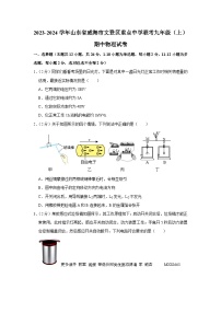 79，山东省威海市文登区重点中学联考2023-2024学年九年级上学期期中考试物理试卷