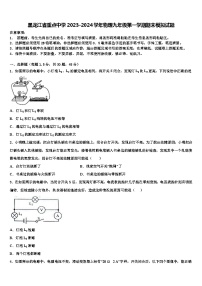 黑龙江省重点中学2023-2024学年物理九年级第一学期期末模拟试题