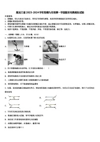 黑龙江省2023-2024学年物理九年级第一学期期末经典模拟试题