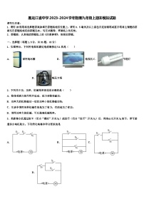 黑龙江省中学2023-2024学年物理九年级上期末模拟试题