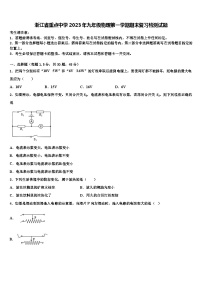 浙江省重点中学2023年九年级物理第一学期期末复习检测试题