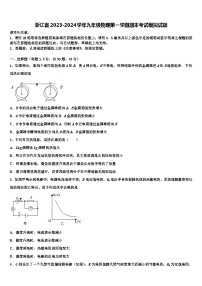 浙江省2023-2024学年九年级物理第一学期期末考试模拟试题