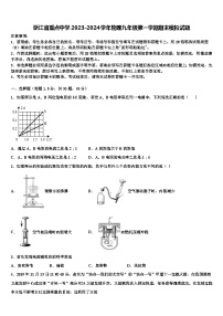 浙江省中学2023-2024学年物理九年级第一学期期末模拟试题