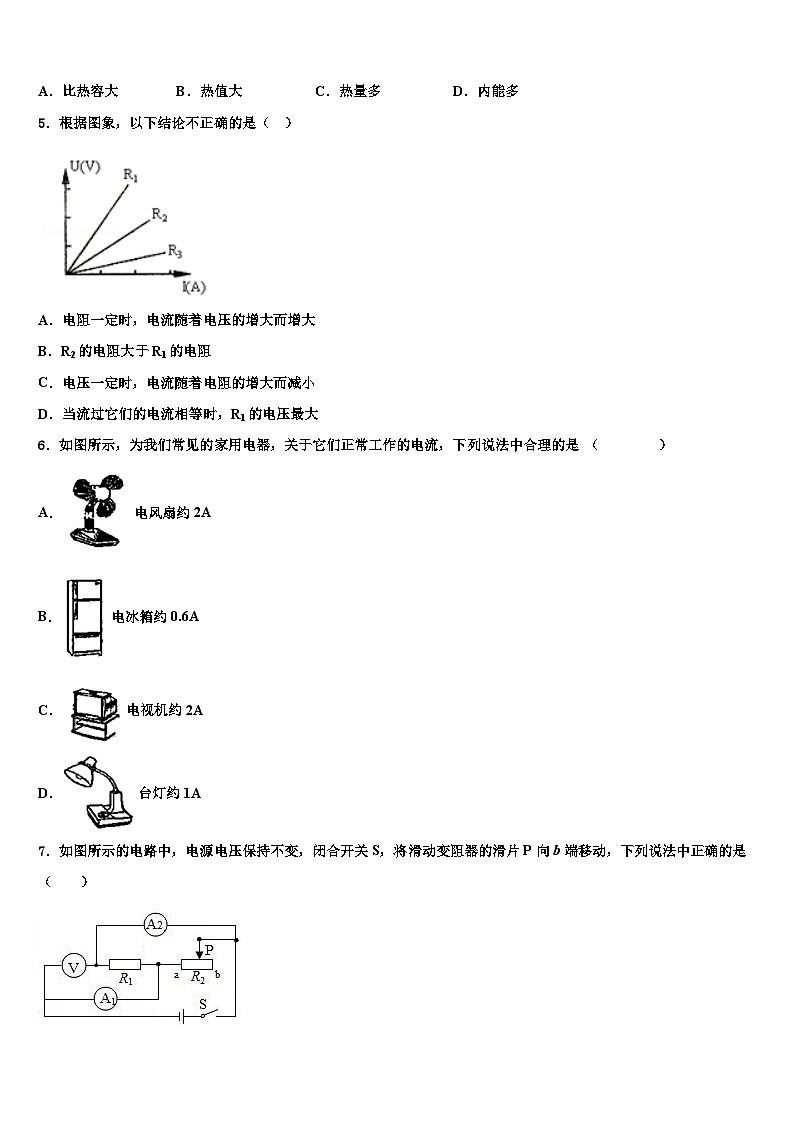 浙江省中学2023-2024学年物理九年级第一学期期末模拟试题第2页