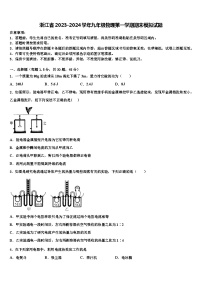 浙江省2023-2024学年九年级物理第一学期期末模拟试题