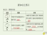 沪科版九年级物理第十七章从指南针到磁浮列车第二节电流的磁场课件