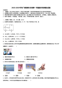 2023-2024学年广西物理九年级第一学期期末检测模拟试题