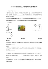 2023-2024学年沪科版九年级上学期物理期末模拟试卷（含答案）