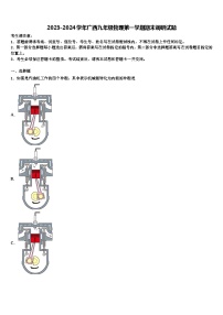 2023-2024学年广西九年级物理第一学期期末调研试题