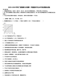 2023-2024学年广西物理九年级第一学期期末学业水平测试模拟试题