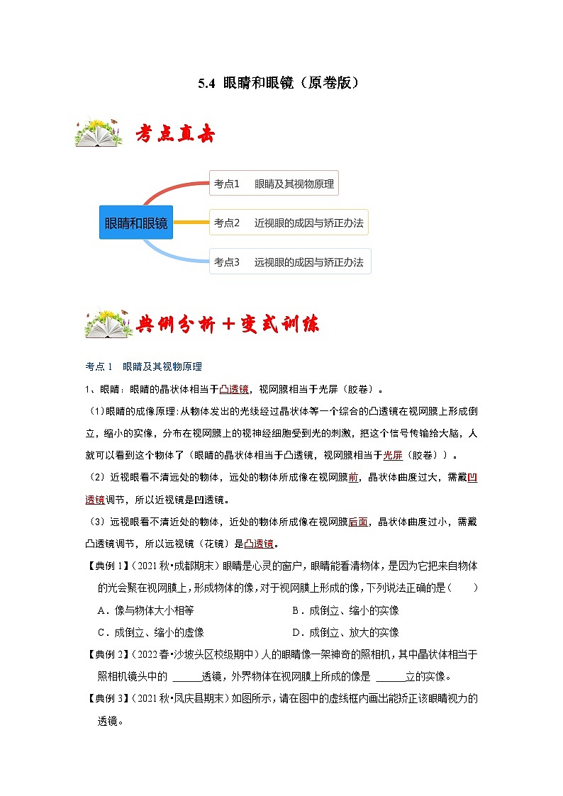 人教版八年级物理上册同步考点专题训练 5.4 眼睛和眼镜（原卷版+解析版）01