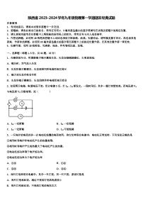 陕西省2023-2024学年九年级物理第一学期期末经典试题