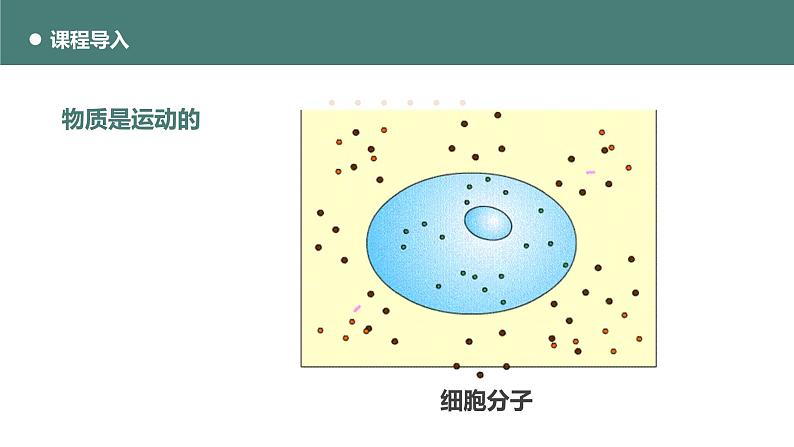 北师大版八年级物理上册课件 第三章物质的简单运动3.1运动与静止第6页