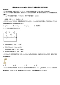 陕西省2023-2024学年物理九上期末教学质量检测试题