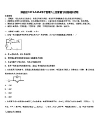 陕西省2023-2024学年物理九上期末复习检测模拟试题