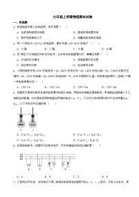 河北省衡水市2023年九年级上学期物理期末试卷附答案