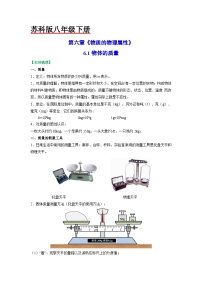 苏科版八年级下册物体的质量优秀巩固练习