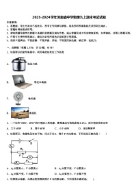 2023-2024学年河南省中学物理九上期末考试试题