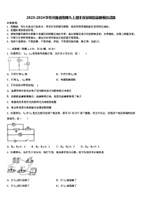 2023-2024学年河南省物理九上期末质量跟踪监视模拟试题