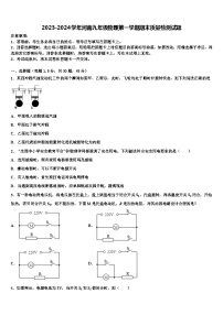 2023-2024学年河南九年级物理第一学期期末质量检测试题