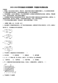 2023-2024学年河南省九年级物理第一学期期末考试模拟试题