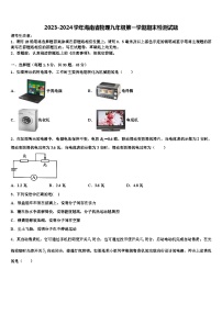 2023-2024学年海南省物理九年级第一学期期末检测试题