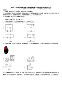 2023-2024学年海南省九年级物理第一学期期末质量检测试题