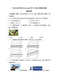 广东省云浮市罗定市2023-2024学年八年级上册期中物理模拟试卷（附答案）