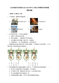 山东省临沂市沂南县2023-2024学年九年级上册期末考试物理模拟试卷（附答案）