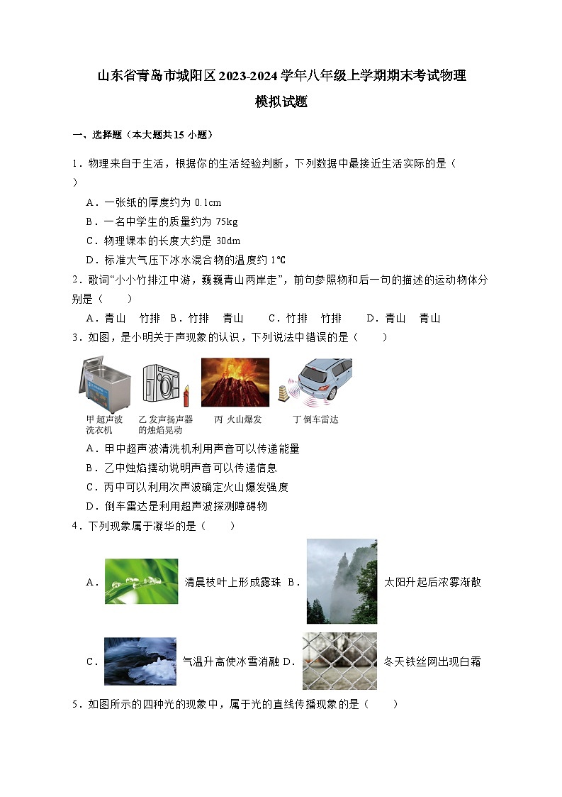 山东省青岛市城阳区2023-2024学年八年级上册期末考试物理模拟试卷（附答案）第1页