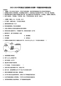 2023-2024学年黑龙江省物理九年级第一学期期末联考模拟试题