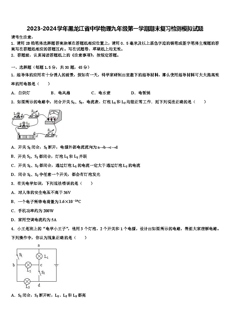 2023-2024学年黑龙江省中学物理九年级第一学期期末复习检测模拟试题01