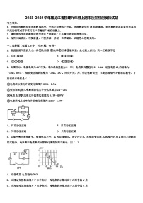 2023-2024学年黑龙江省物理九年级上期末质量检测模拟试题