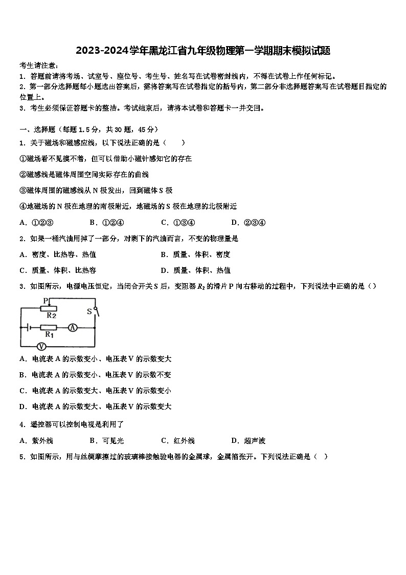 2023-2024学年黑龙江省九年级物理第一学期期末模拟试卷第1页