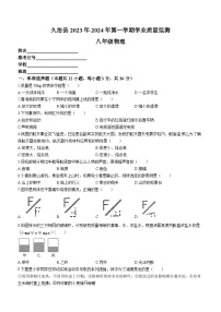 青海省果洛州久治县2023-2024学年八年级上学期期末考试物理试题