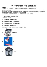 2024年辽宁省九年级第一学期1月物理模拟试题