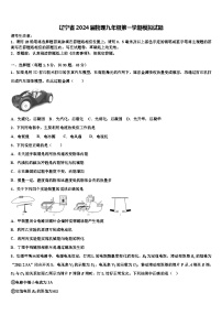 辽宁省2024届物理九年级第一学期模拟试题