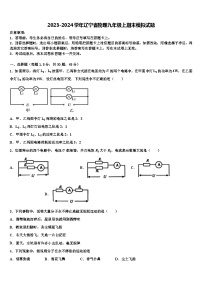 2023-2024学年辽宁省物理九年级上期末模拟试题