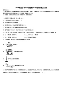 2024届北京市九年级物理第一学期期末模拟试题