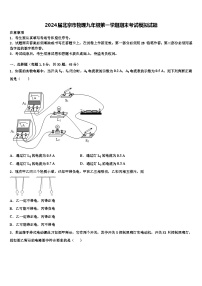 2024届北京市物理九年级第一学期期末考试模拟试题