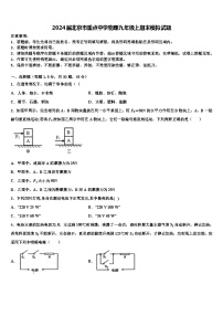 2024届北京市重点中学物理九年级上期末模拟试题 (2)