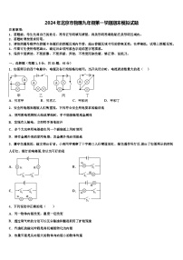 2024年北京市物理九年级第一学期期末模拟试题