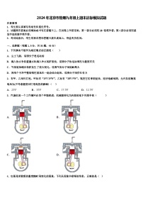 2024年北京市物理九年级上期末达标模拟试题