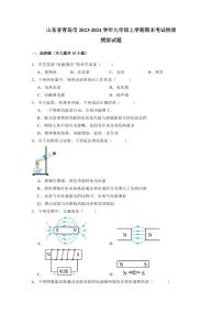 山东省青岛市2023-2024学年九年级上学期期末考试物理模拟试题（含答案）