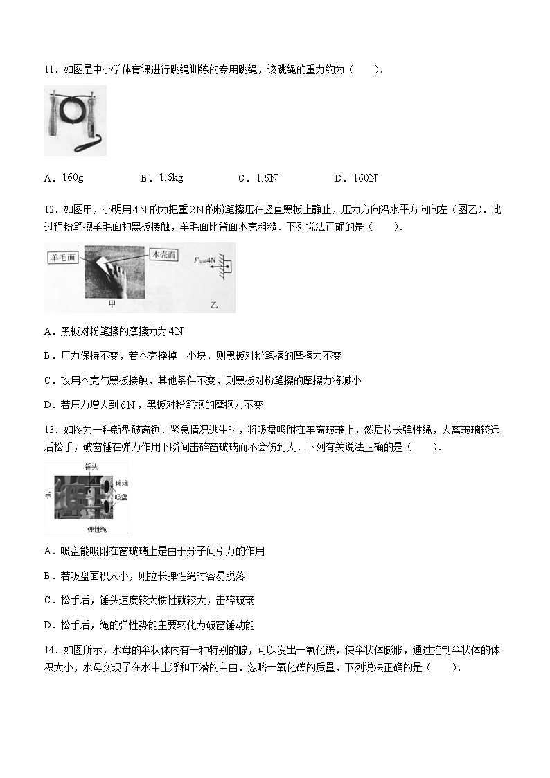 河南省洛阳市洛宁县2023-2024学年九年级上学期10月月考物理试题第3页