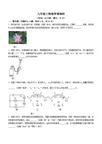 河南省洛阳市洛龙区2023-2024学年九年级上学期第一次学情调研物理试题