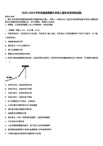 2023-2024学年河南省物理九年级上期末质量检测试题